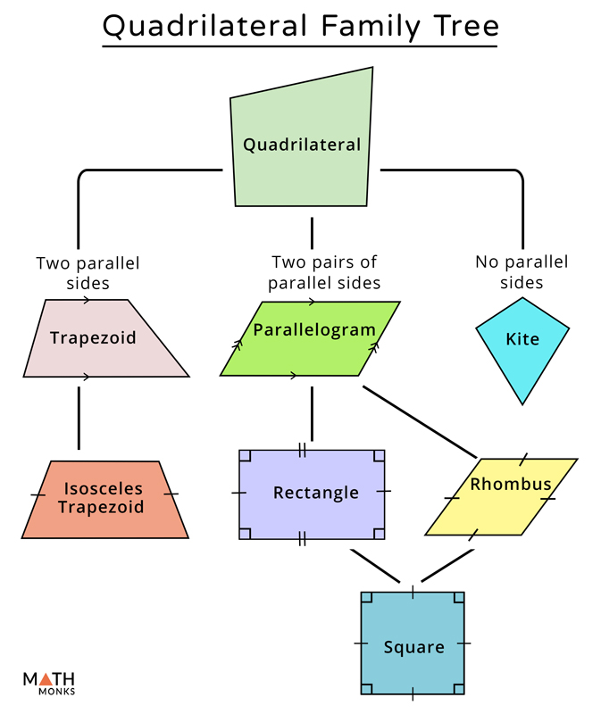 Classifying Quadrilaterals Flowchart By Scaffolded Ma - vrogue.co