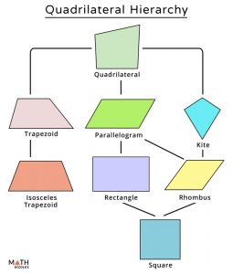 quadrilateral diagram tree