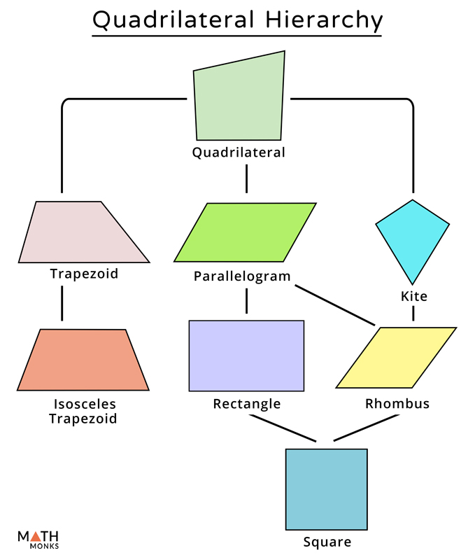 quadrilateral family tree