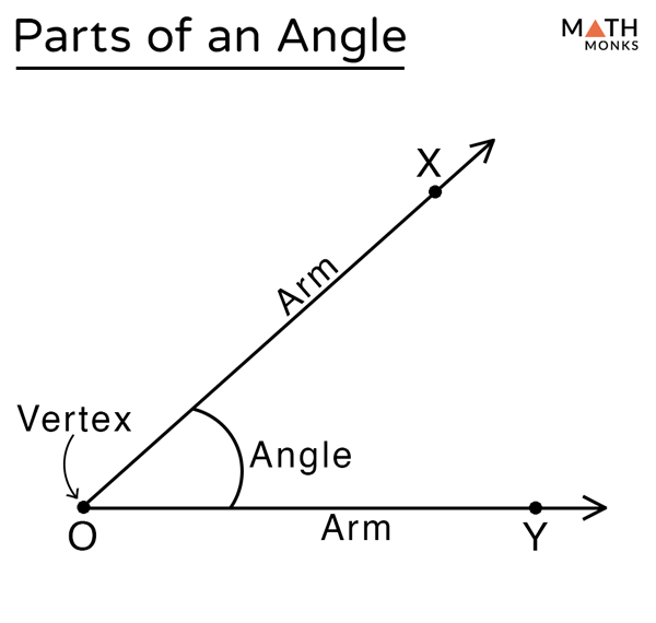 Angle Names in Geometry: Acute, Obtuse, Straight, & Right Angles, Defined