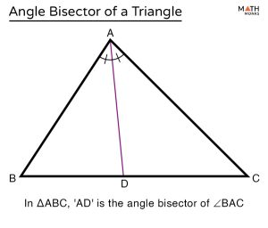 Angle Bisector of a Triangle – Definition, Theorem, Examples