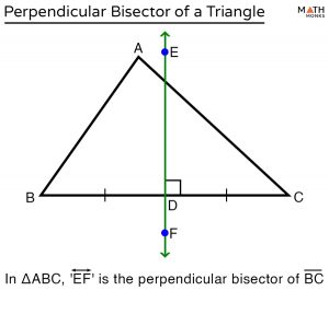 Perpendicular Bisector Of A Triangle – Definition, Construction, Theorem