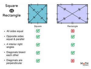 Square vs Rectangle - Differences & Similarities