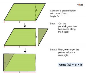 Area Of Parallelogram- Formulas, Diagrams & Examples