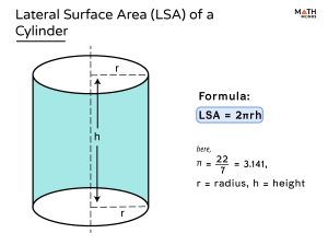 Surface Area of a Cylinder - Definition, Formulas, & Examples