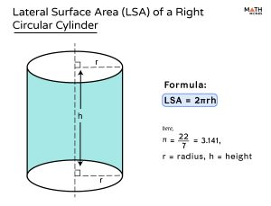 Right Circular Cylinder - Definition, Formulas, & Examples