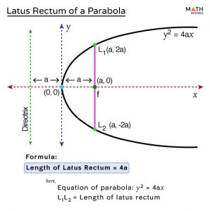 Latus Rectum - Formulas, Examples and Diagrams