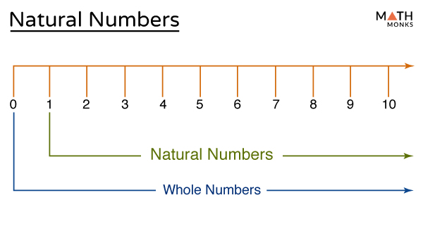 whole numbers in math