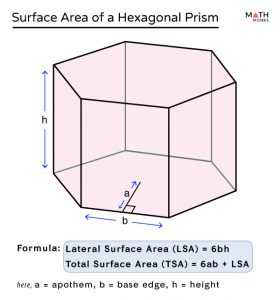 Surface Area of a Hexagonal Prism - Formulas & Examples