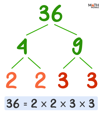 Factor Tree Definition Steps Examples Diagrams